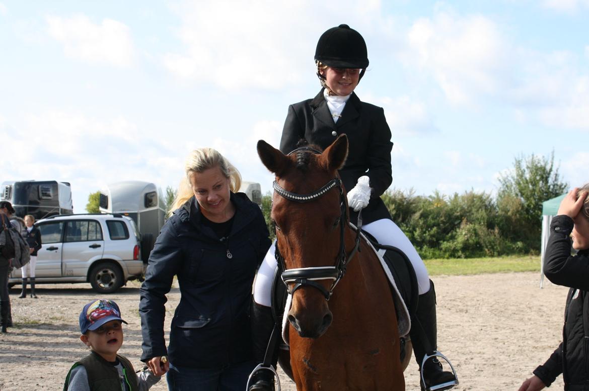 Anden særlig race Timon billede 19