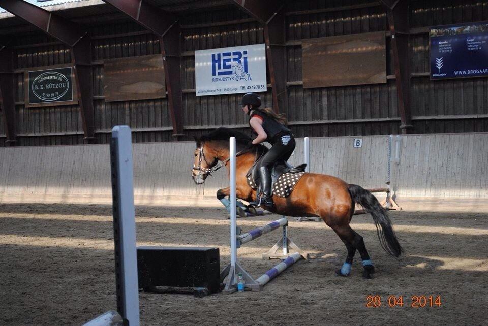 Anden særlig race Stjerne billede 14