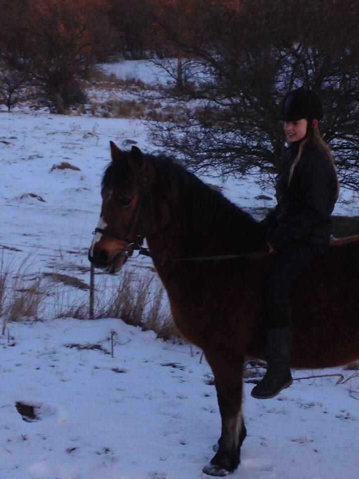 Anden særlig race Stjerne billede 15
