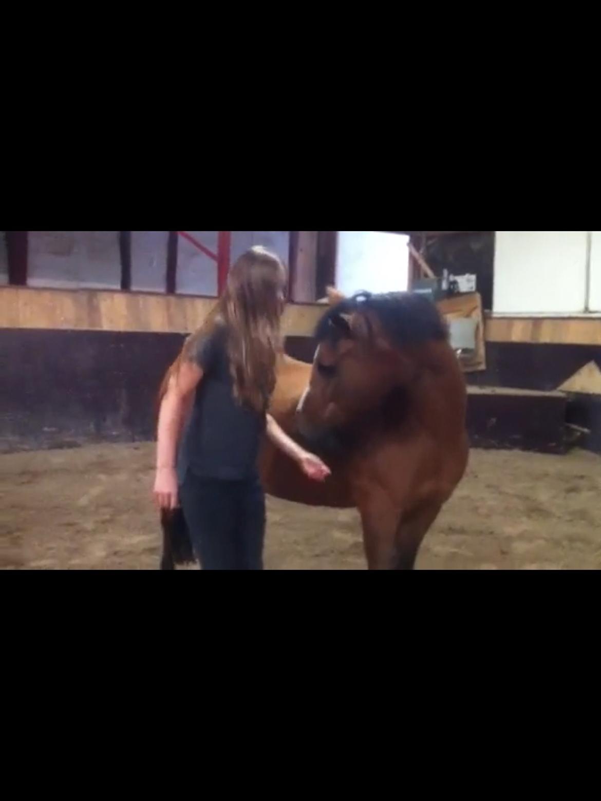 Anden særlig race Stjerne billede 18