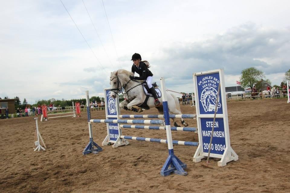 Anden særlig race Hot'n tot A-PONY - Første MB2* som vi vinder <3 Foto: Frederikke Mau billede 8