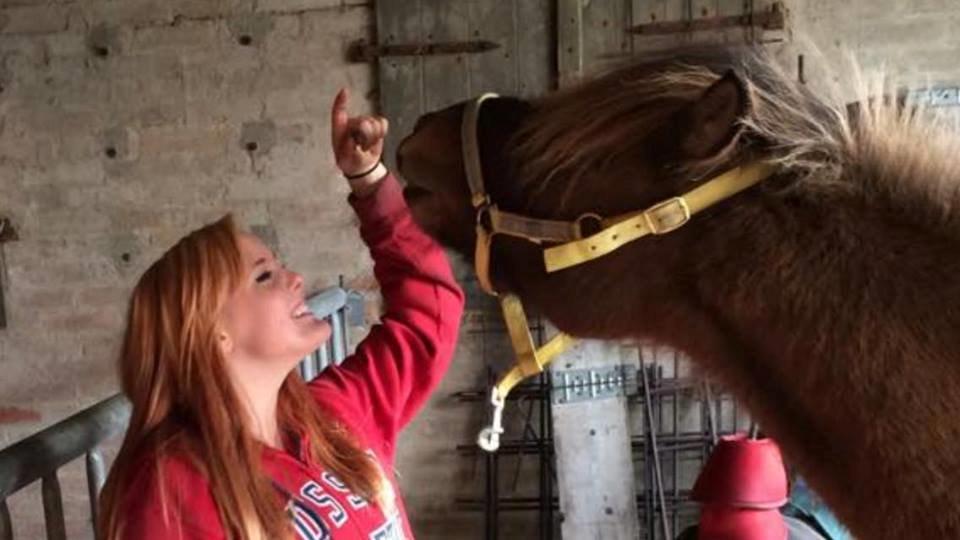 Islænder Magnus billede 12