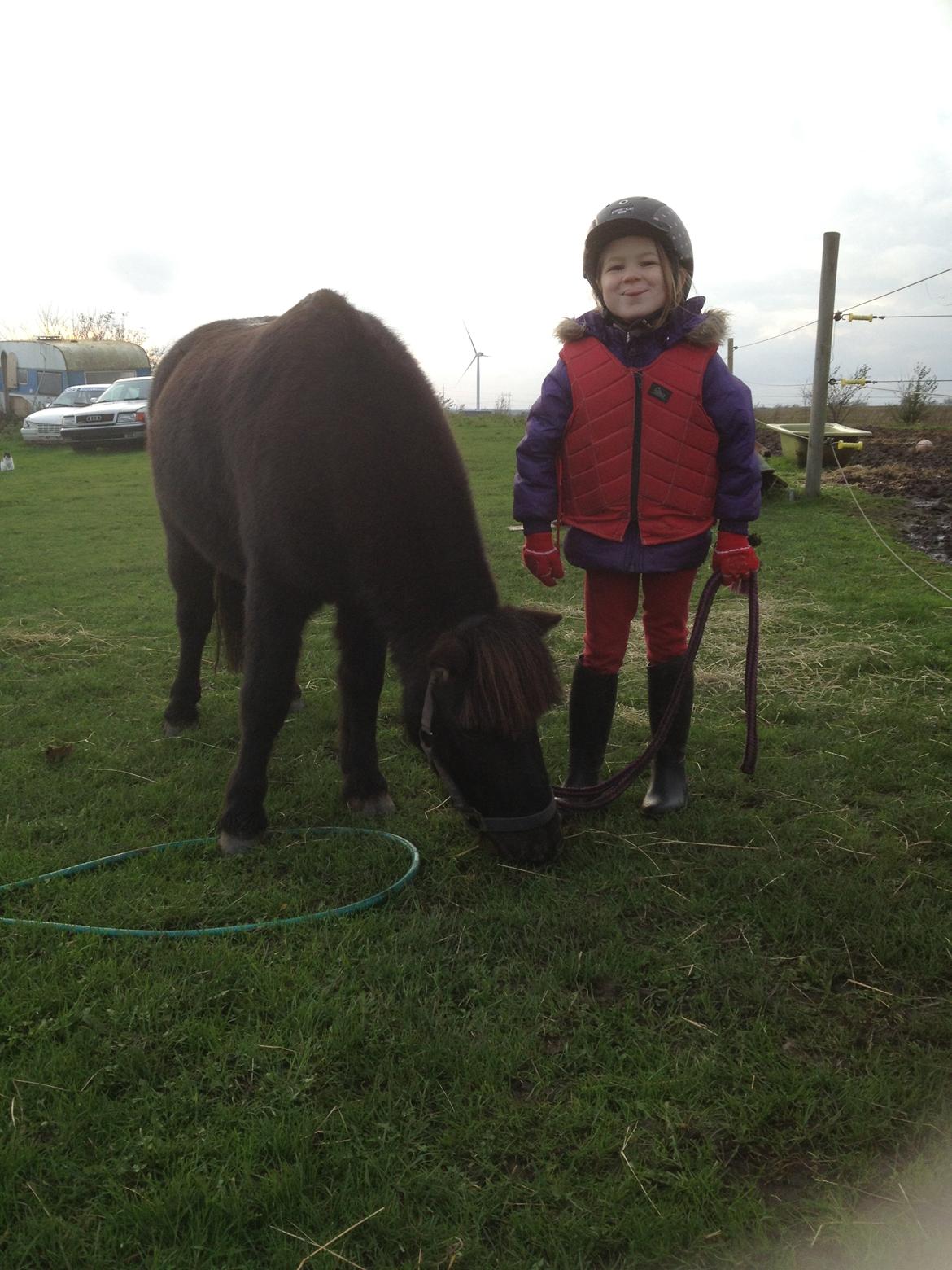 Anden særlig race Louie ( Herkules hos forige ejer ) billede 38