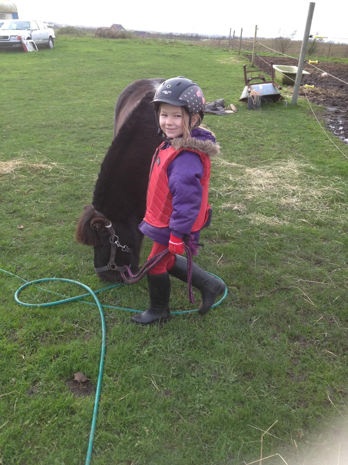 Anden særlig race Louie ( Herkules hos forige ejer ) billede 40