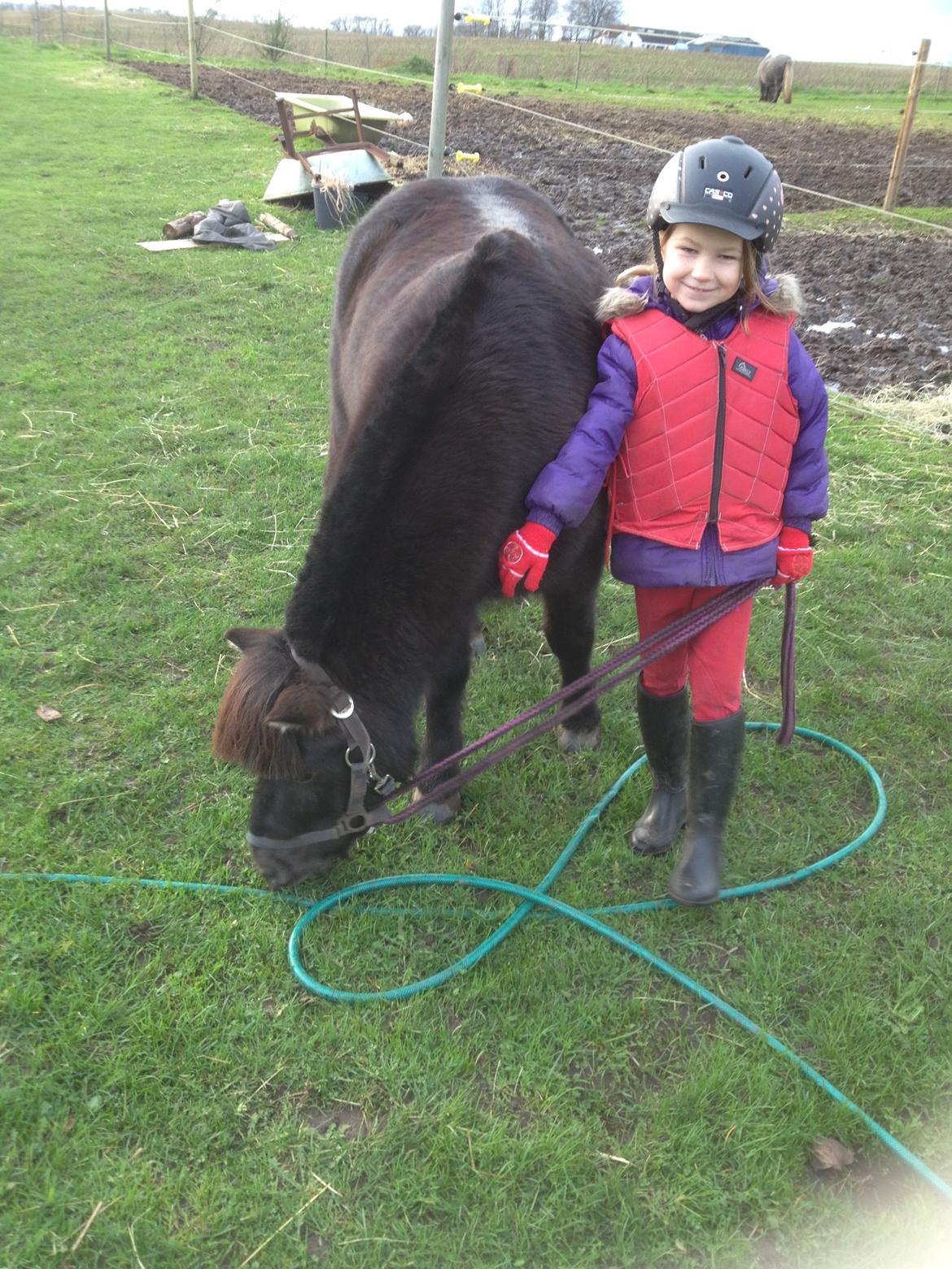 Anden særlig race Louie ( Herkules hos forige ejer ) billede 41