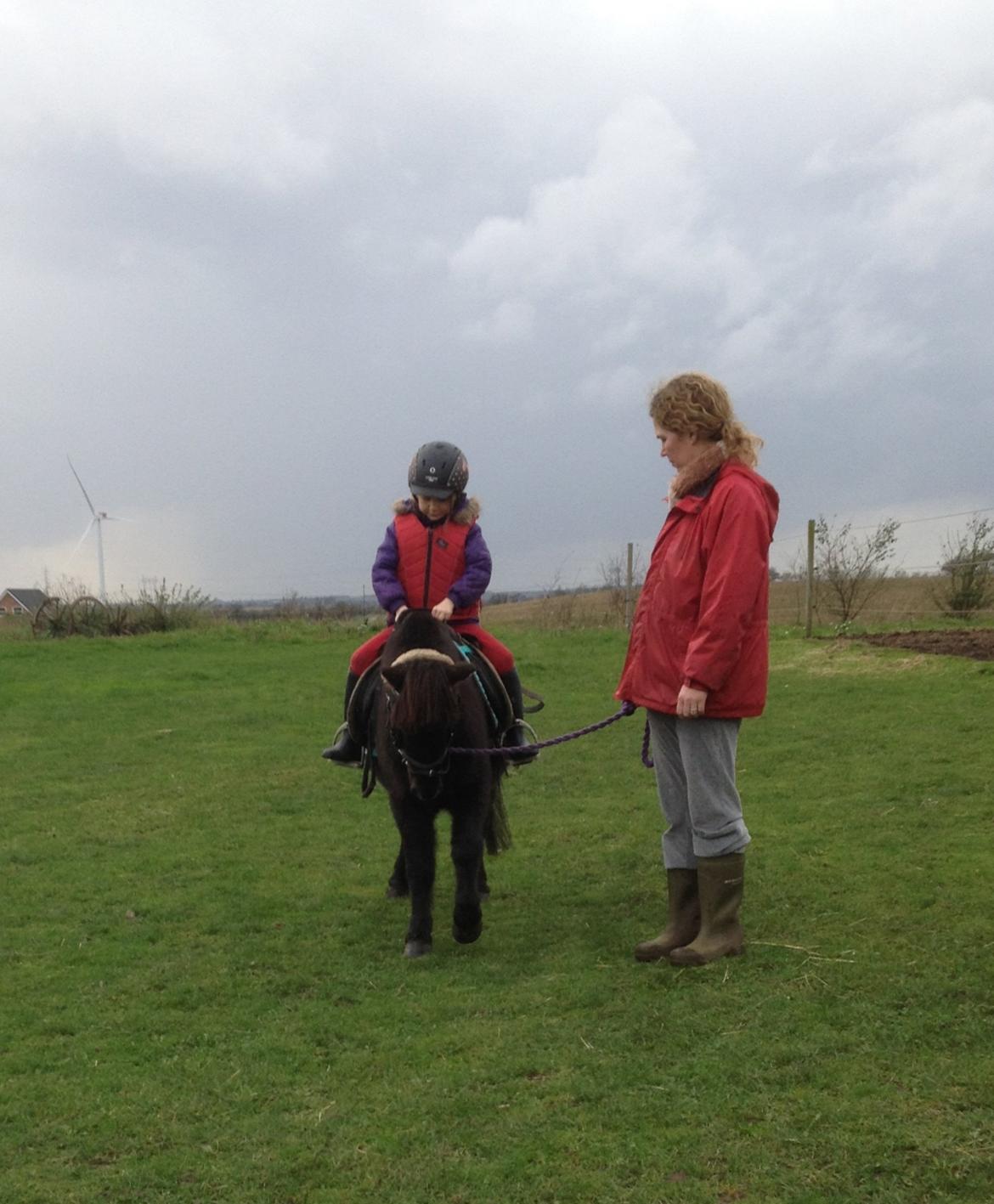 Anden særlig race Louie ( Herkules hos forige ejer ) billede 5