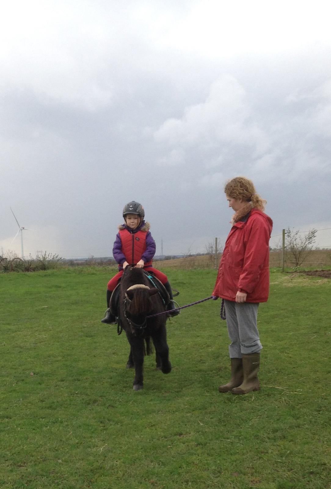 Anden særlig race Louie ( Herkules hos forige ejer ) - se jeg kan tigge  billede 6