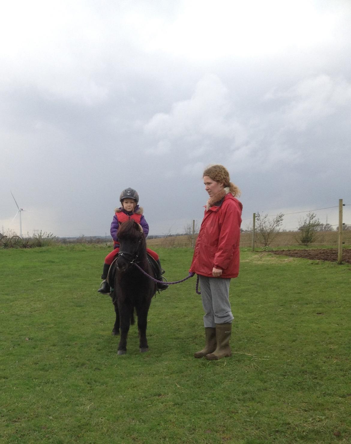 Anden særlig race Louie ( Herkules hos forige ejer ) billede 7