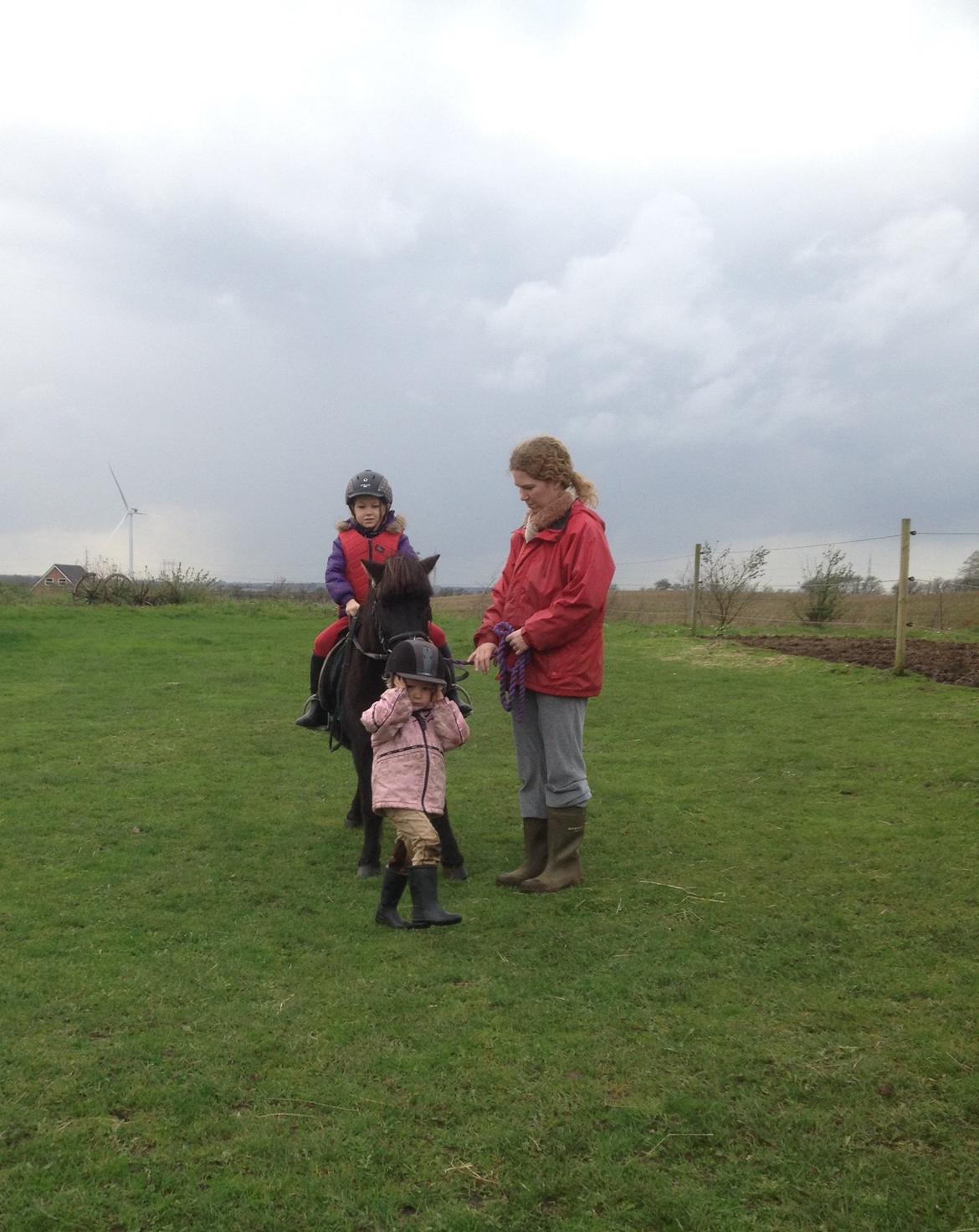 Anden særlig race Louie ( Herkules hos forige ejer ) billede 8