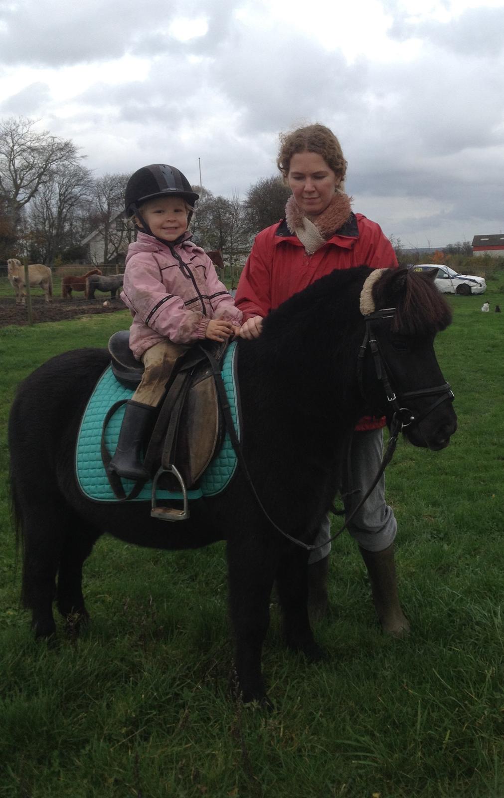 Anden særlig race Louie ( Herkules hos forige ejer ) billede 11