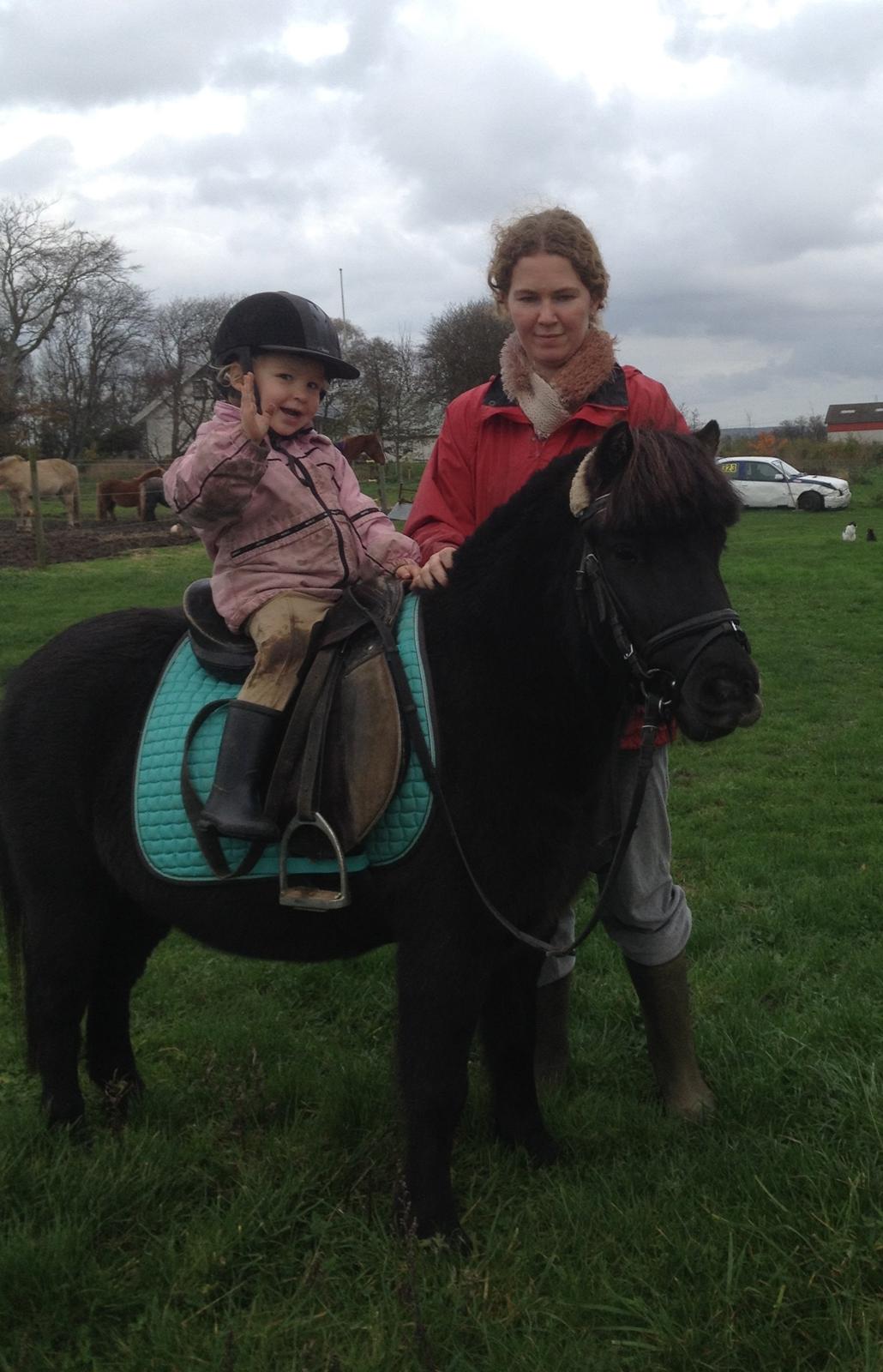 Anden særlig race Louie ( Herkules hos forige ejer ) billede 12