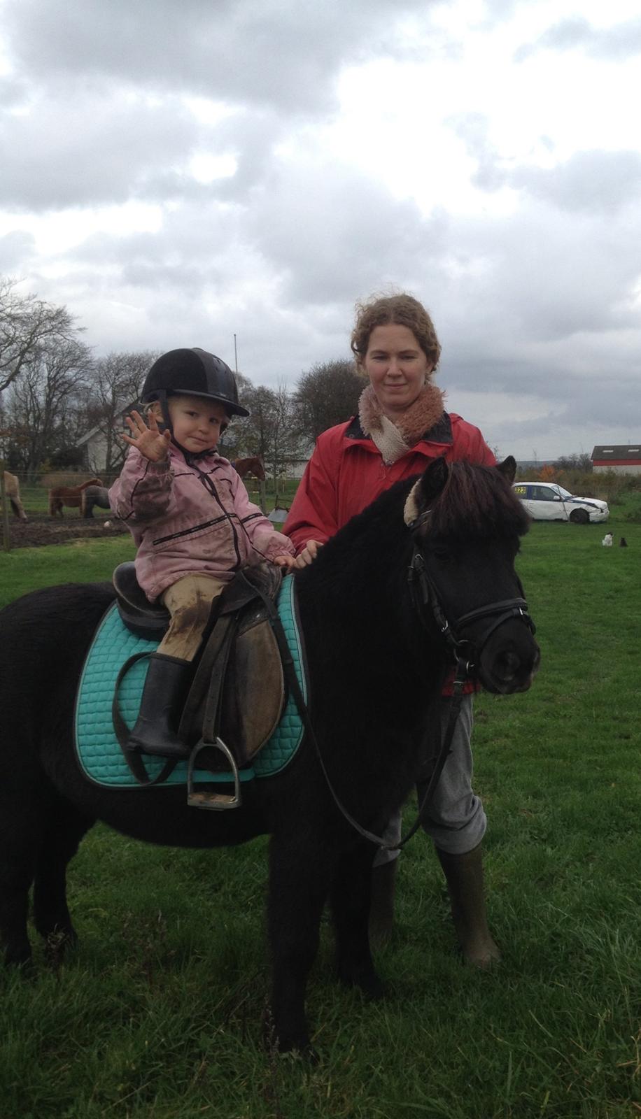 Anden særlig race Louie ( Herkules hos forige ejer ) billede 13