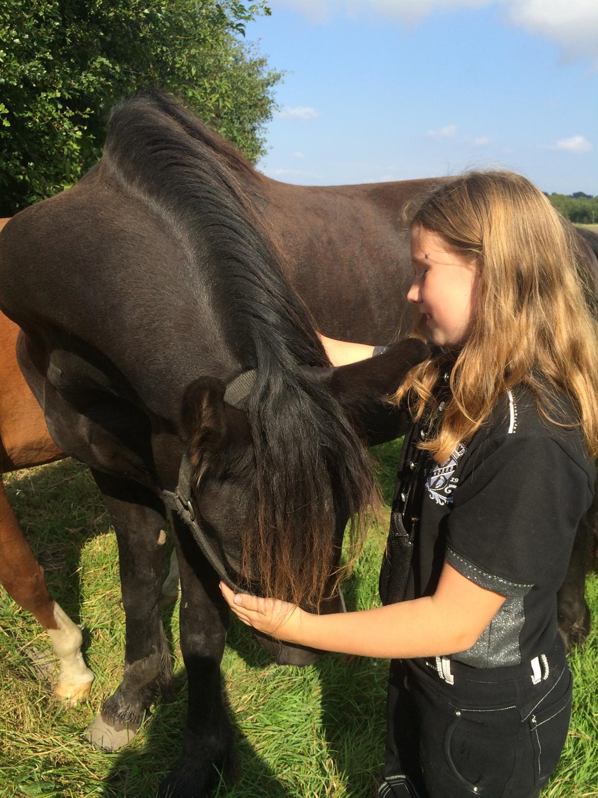Frieser Klaas *Bæstet* - Elsker og blive nusset :) billede 6