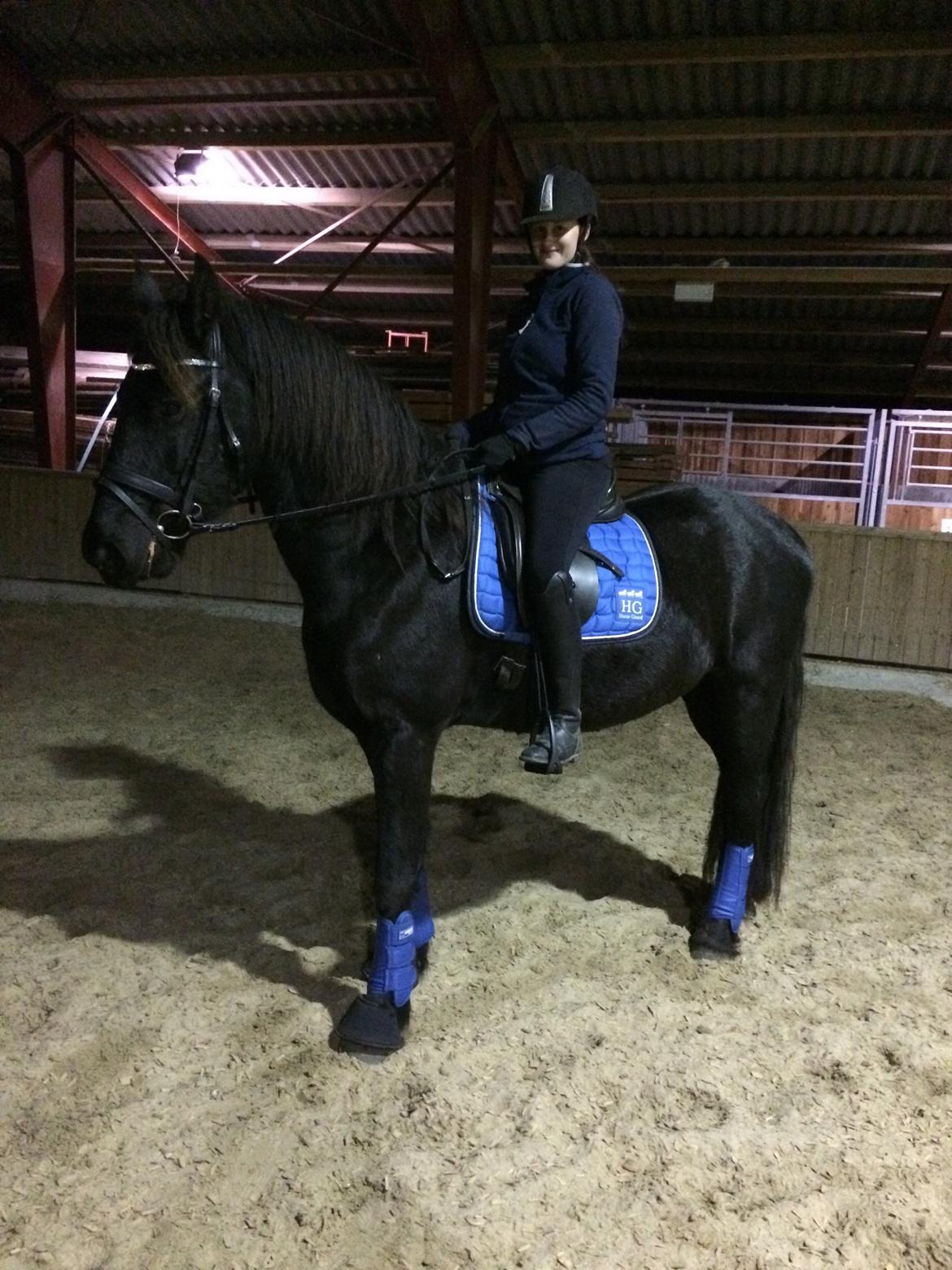 Frieser Klaas *Bæstet* - 4 gang med rytter. 1 gang unden longe <3 billede 17