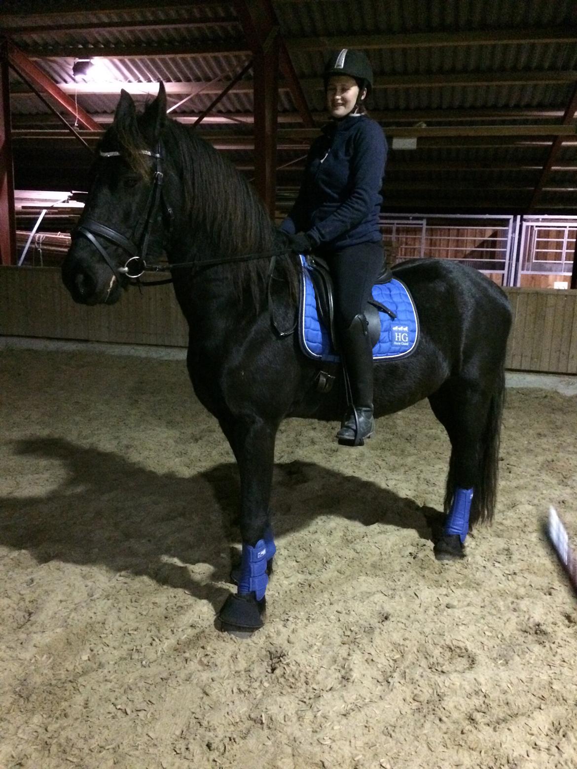 Frieser Klaas *Bæstet* - Elsker den krikke <3 billede 19