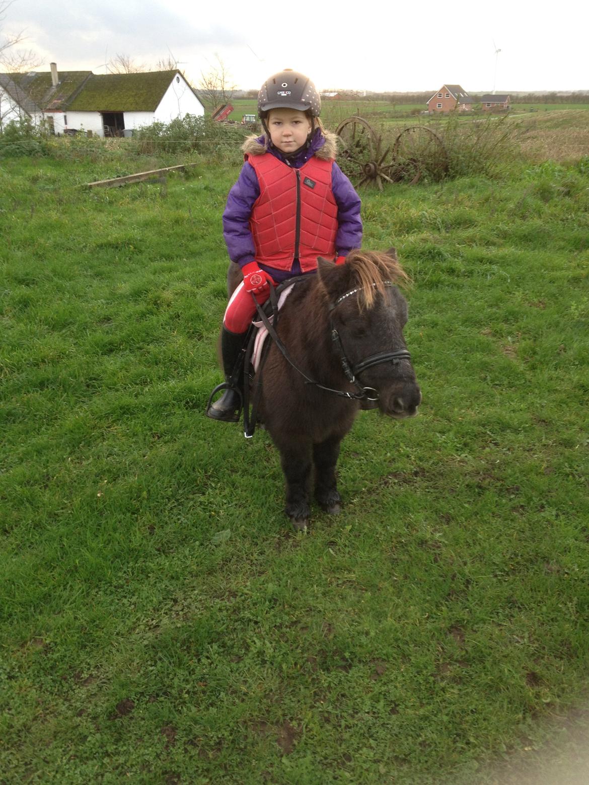 Miniature Elmely's Cille billede 1