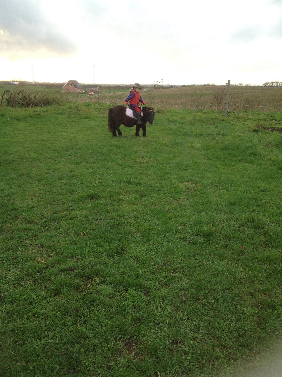 Miniature Elmely's Cille billede 13