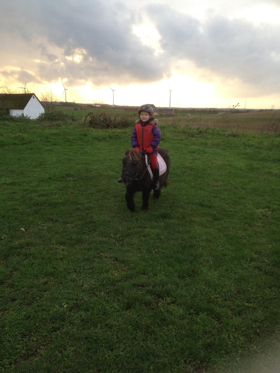 Miniature Elmely's Cille billede 14