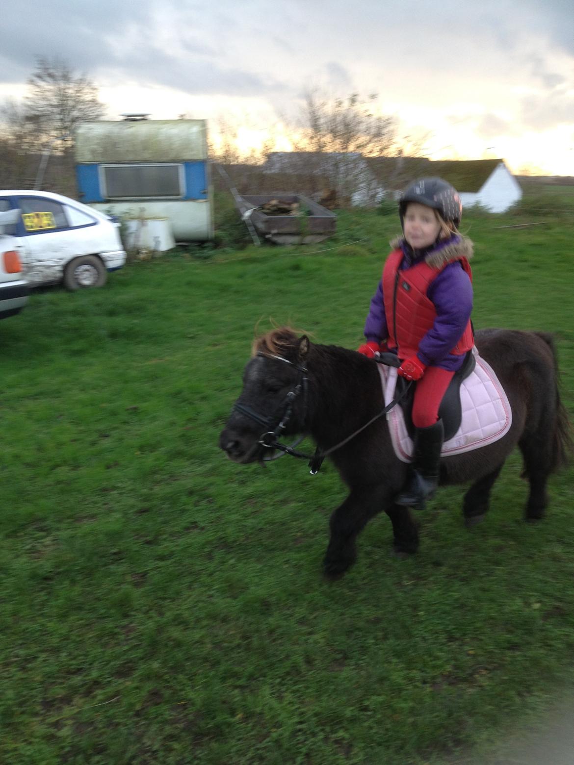 Miniature Elmely's Cille billede 16