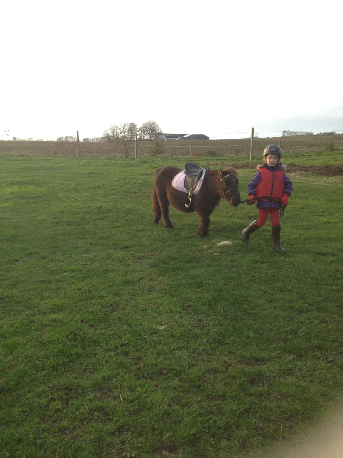 Miniature Elmely's Cille billede 18