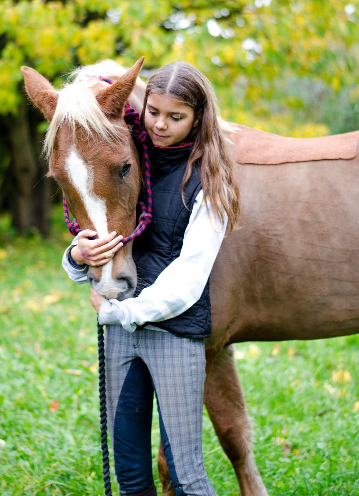 New Forest Søndermarkens Rolf (Rolle) billede 3