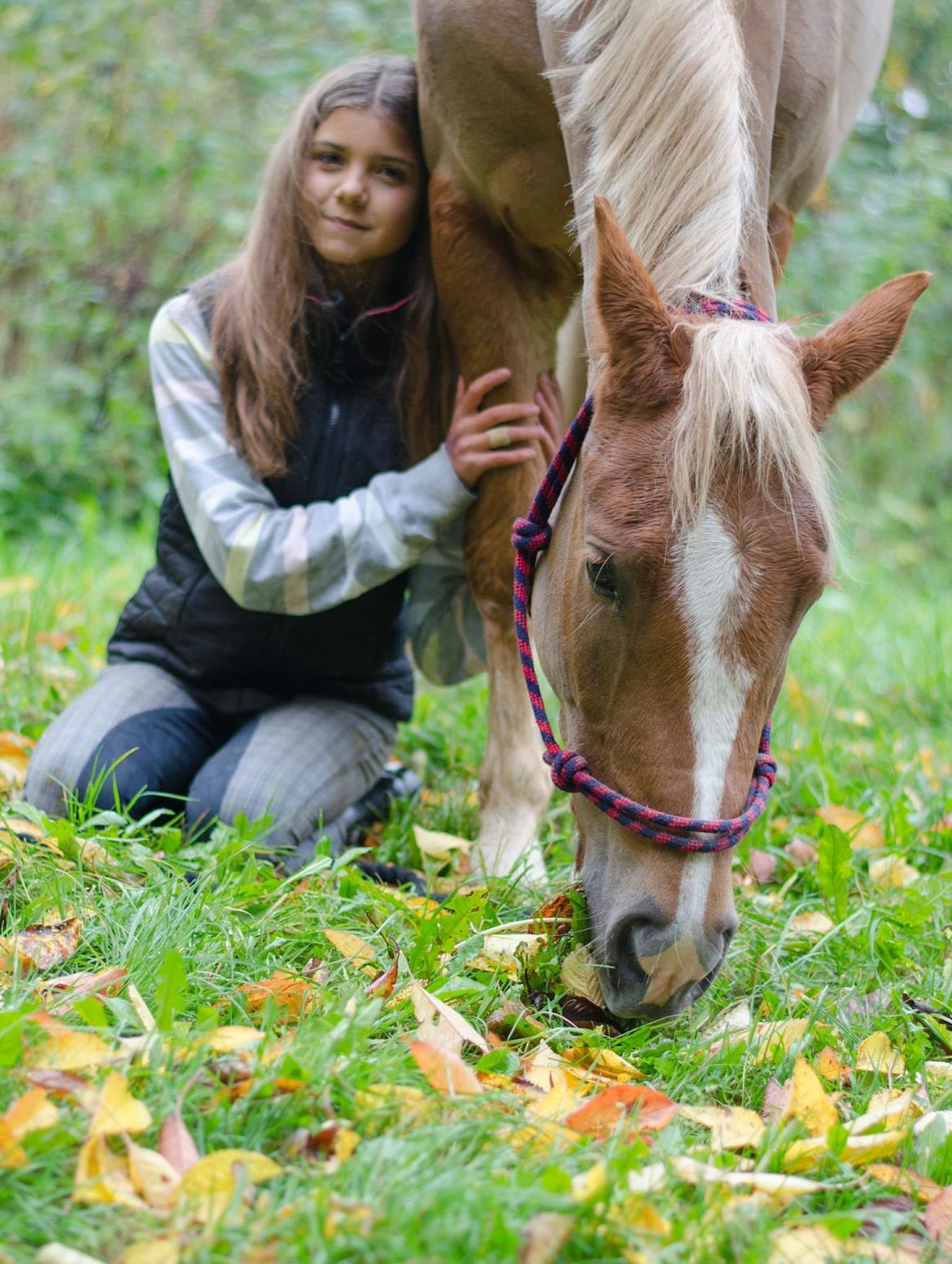 New Forest Søndermarkens Rolf (Rolle) billede 5