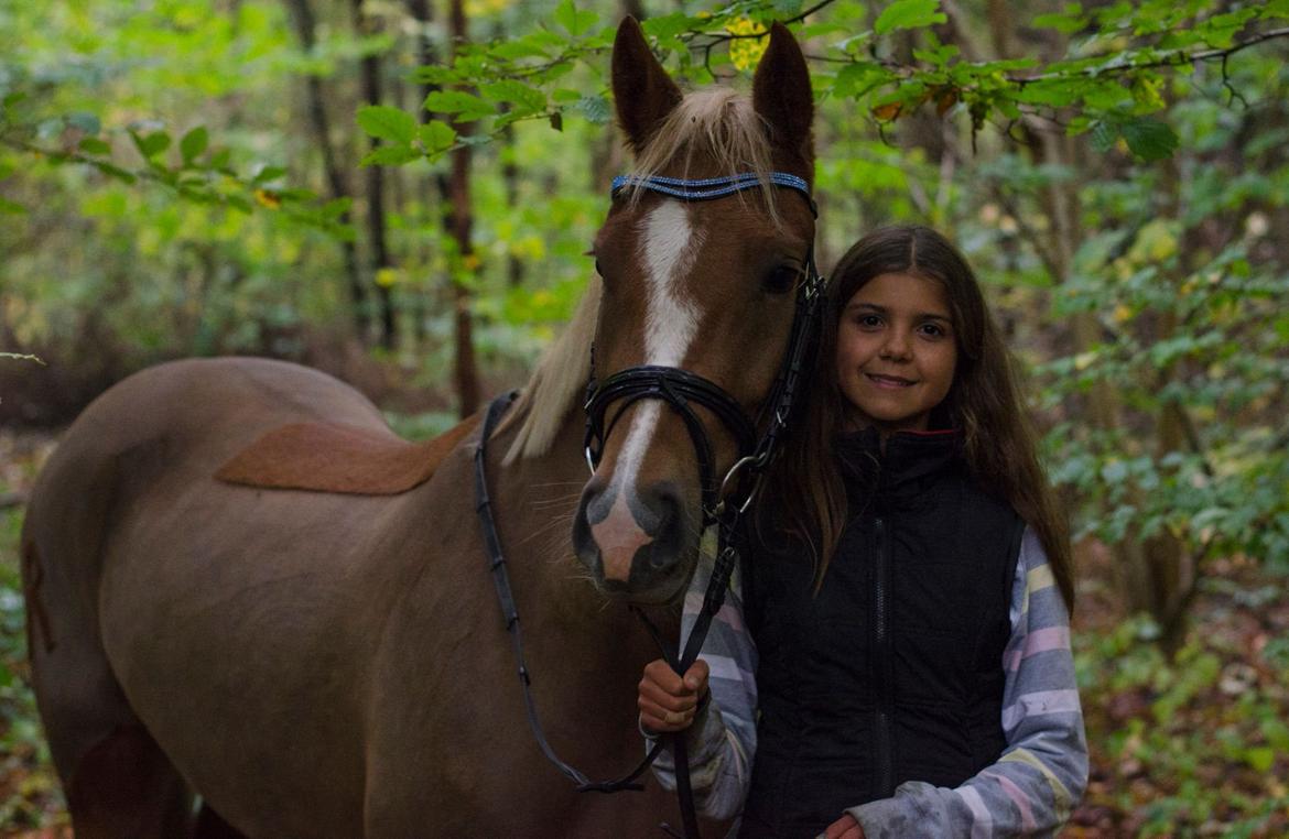 New Forest Søndermarkens Rolf (Rolle) billede 6