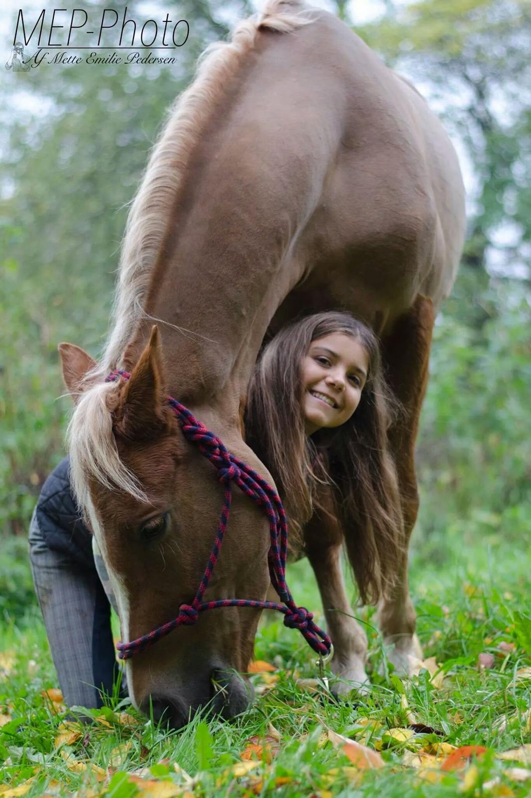 New Forest Søndermarkens Rolf (Rolle) billede 15