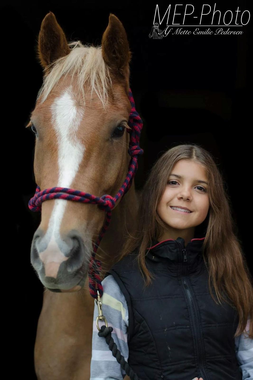 New Forest Søndermarkens Rolf (Rolle) billede 16