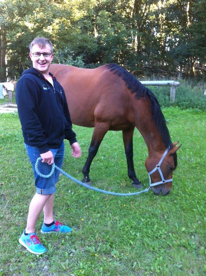 Dansk Varmblod Sascha - De to dejlige basser.  billede 3