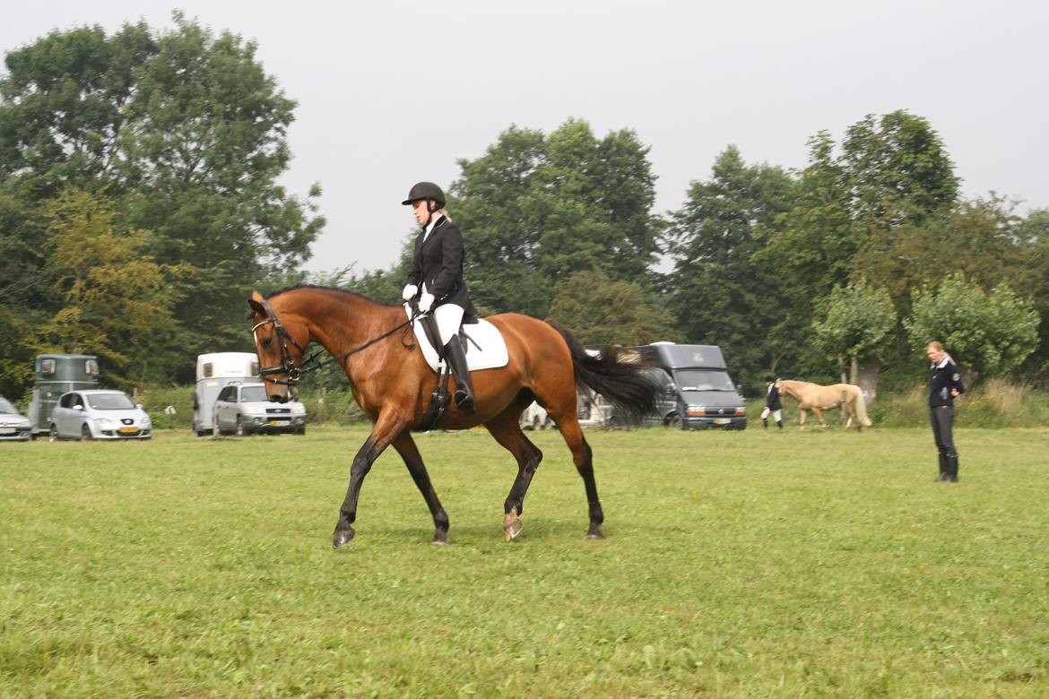 Dansk Varmblod Sascha - vores første stævne.  billede 10