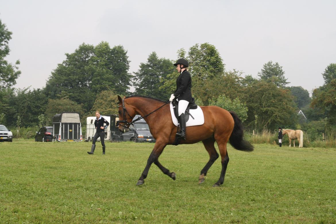 Dansk Varmblod Sascha - vores første stævne.  billede 9