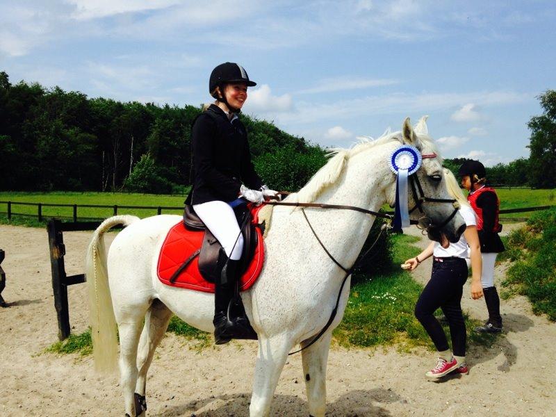 Arabisk fuldblod (OX) Ta Malim OX (Tamse) - vores første udestævne!! 2. plads stilspring billede 17