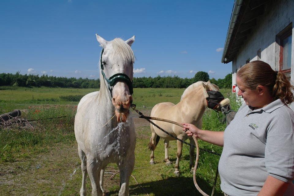 Anden særlig race Aslan - Åh det er skønt.... Juni 2014 billede 13