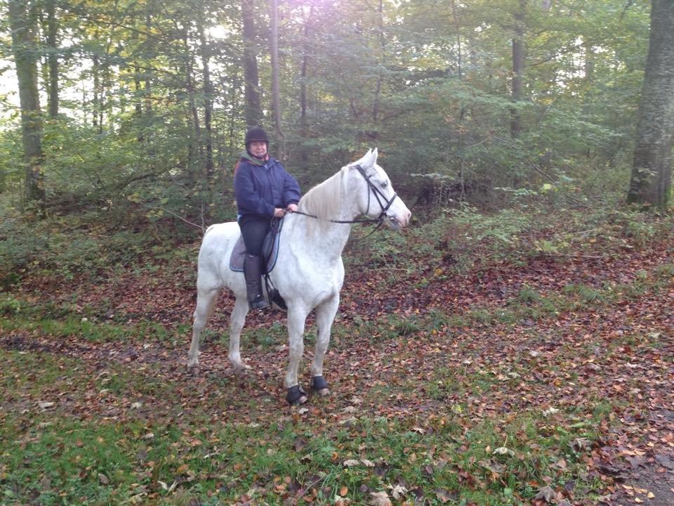 Anden særlig race Aslan - Oktober 2014 billede 17