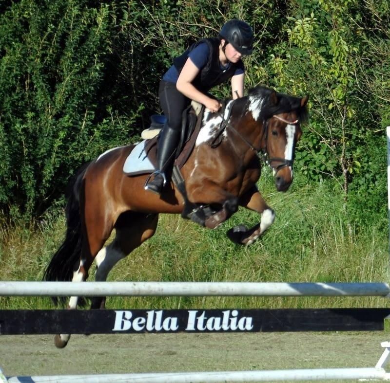 Pinto Secret Princess billede 13