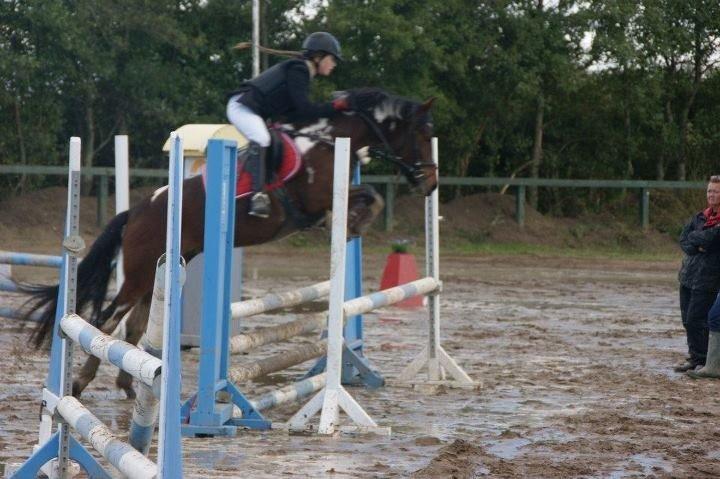 Pinto Secret Princess billede 15