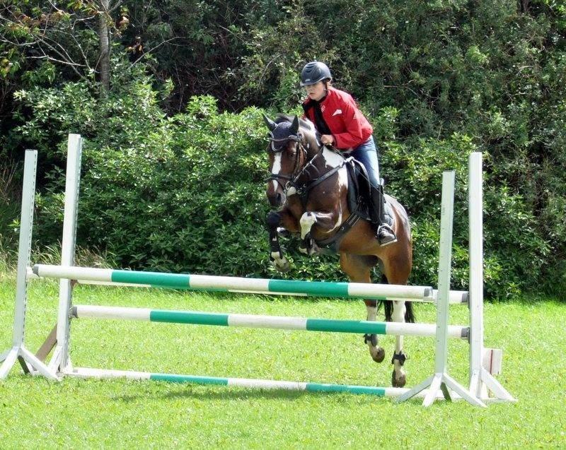 Pinto Secret Princess billede 2