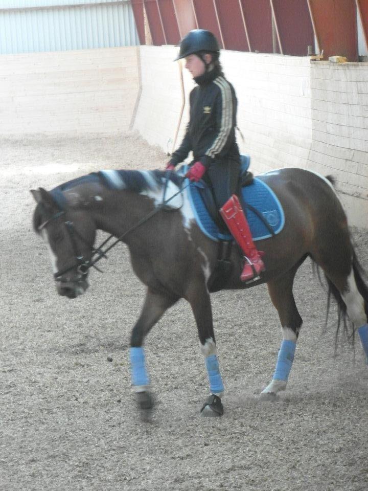 Pinto Secret Princess billede 16