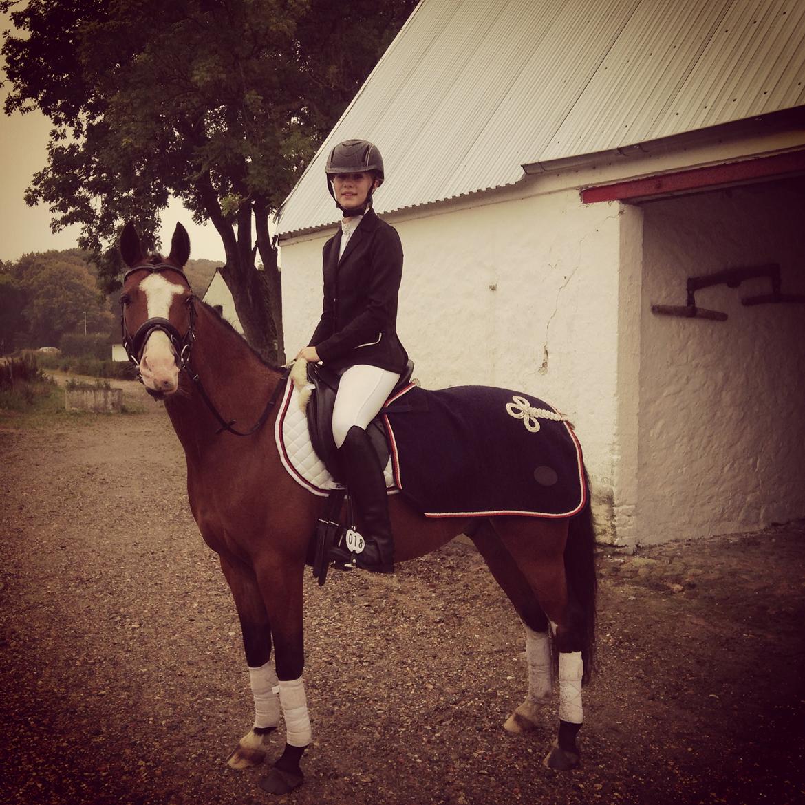 DSP Lassen`s Pay Per View billede 8