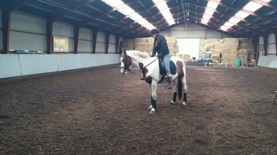 Pinto Aston A Kila billede 40