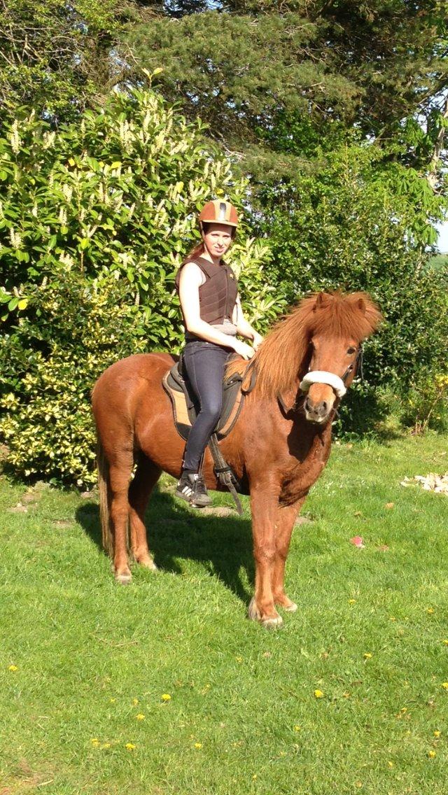 Islænder Embla stenholm - Første tur på Embla. April 2014 billede 2