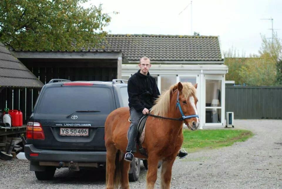 Islænder Örn billede 28