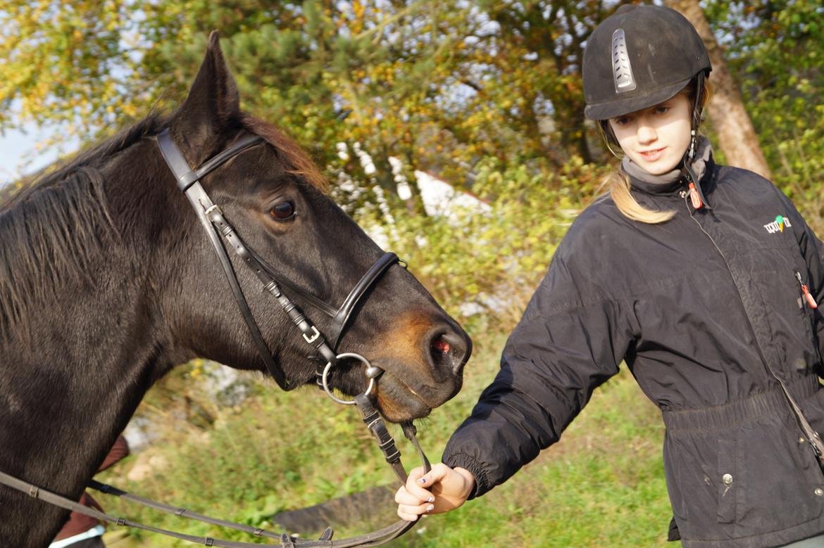 Dansk Varmblod Pan billede 18
