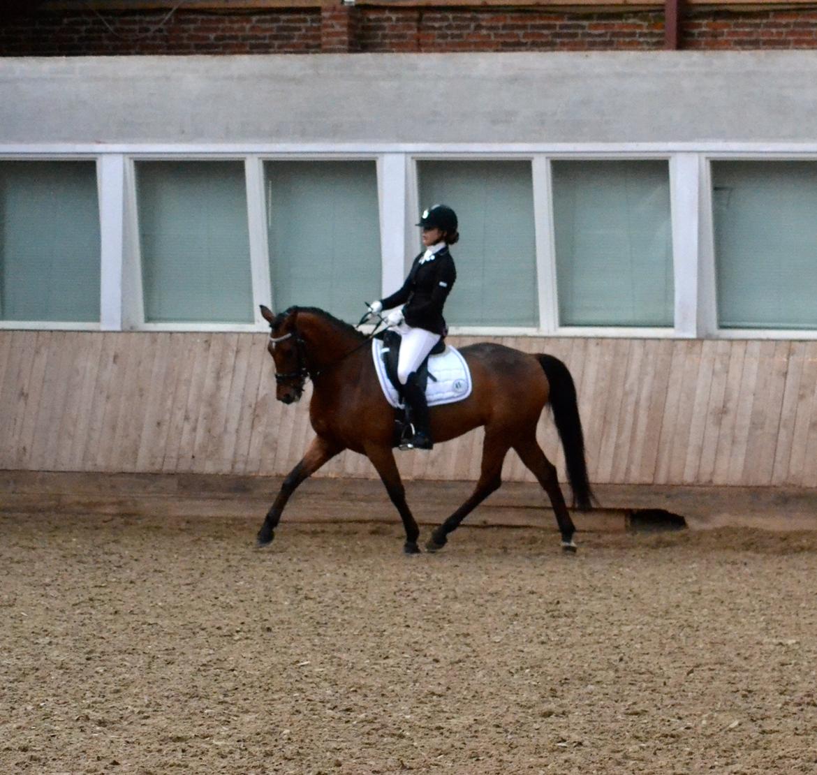 DSP Nikita billede 18