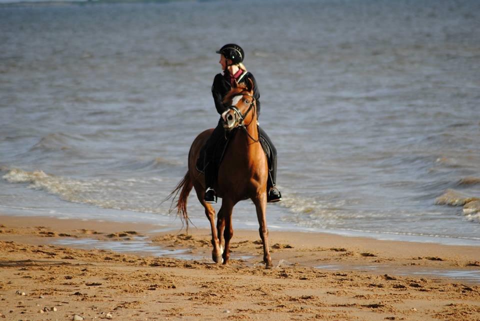 DSP Møgelvangs Ja'dore billede 6