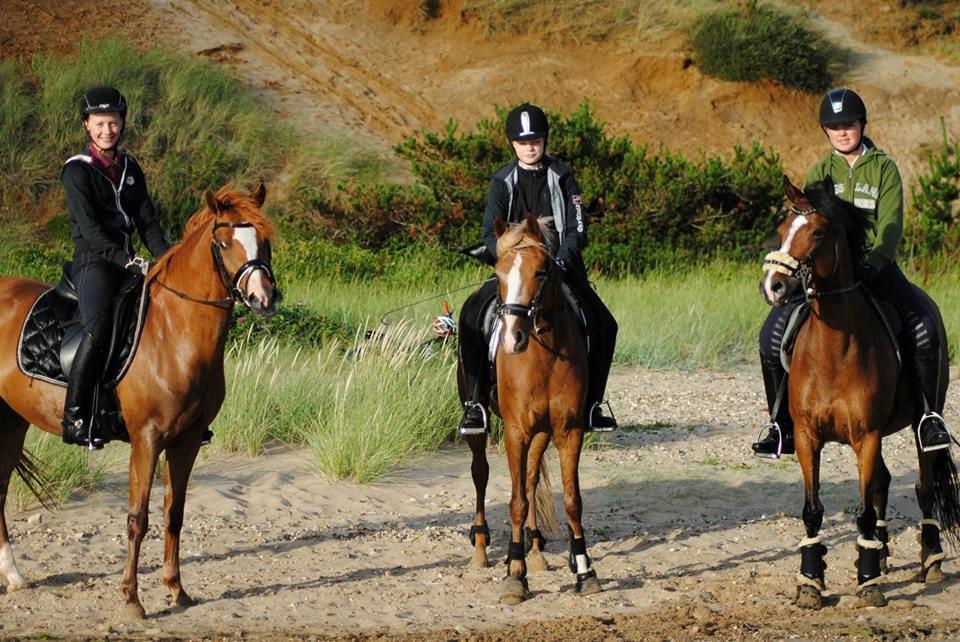 DSP Møgelvangs Ja'dore billede 16