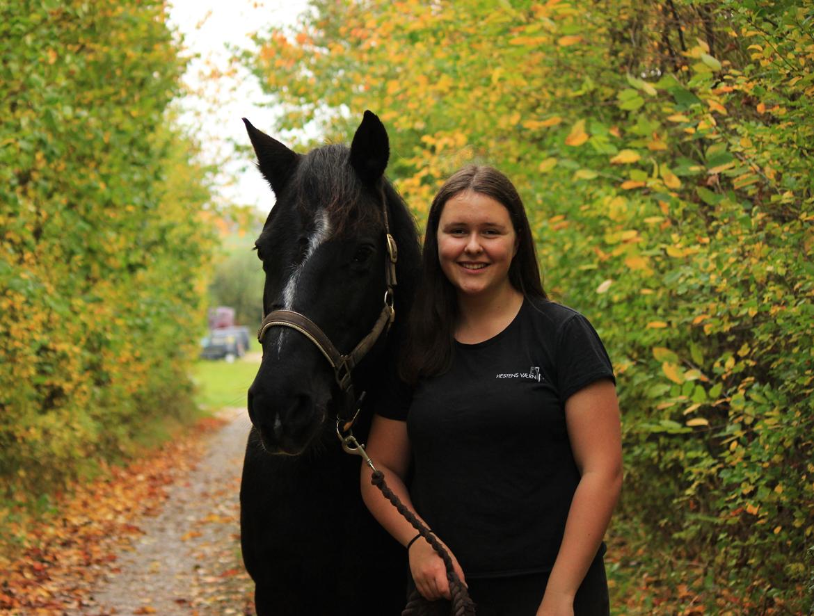 Anden særlig race | Donna billede 2