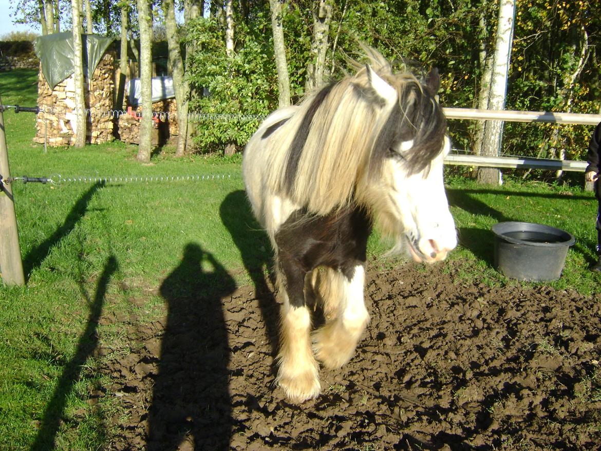 Tinker Kirkeby's nemo billede 9