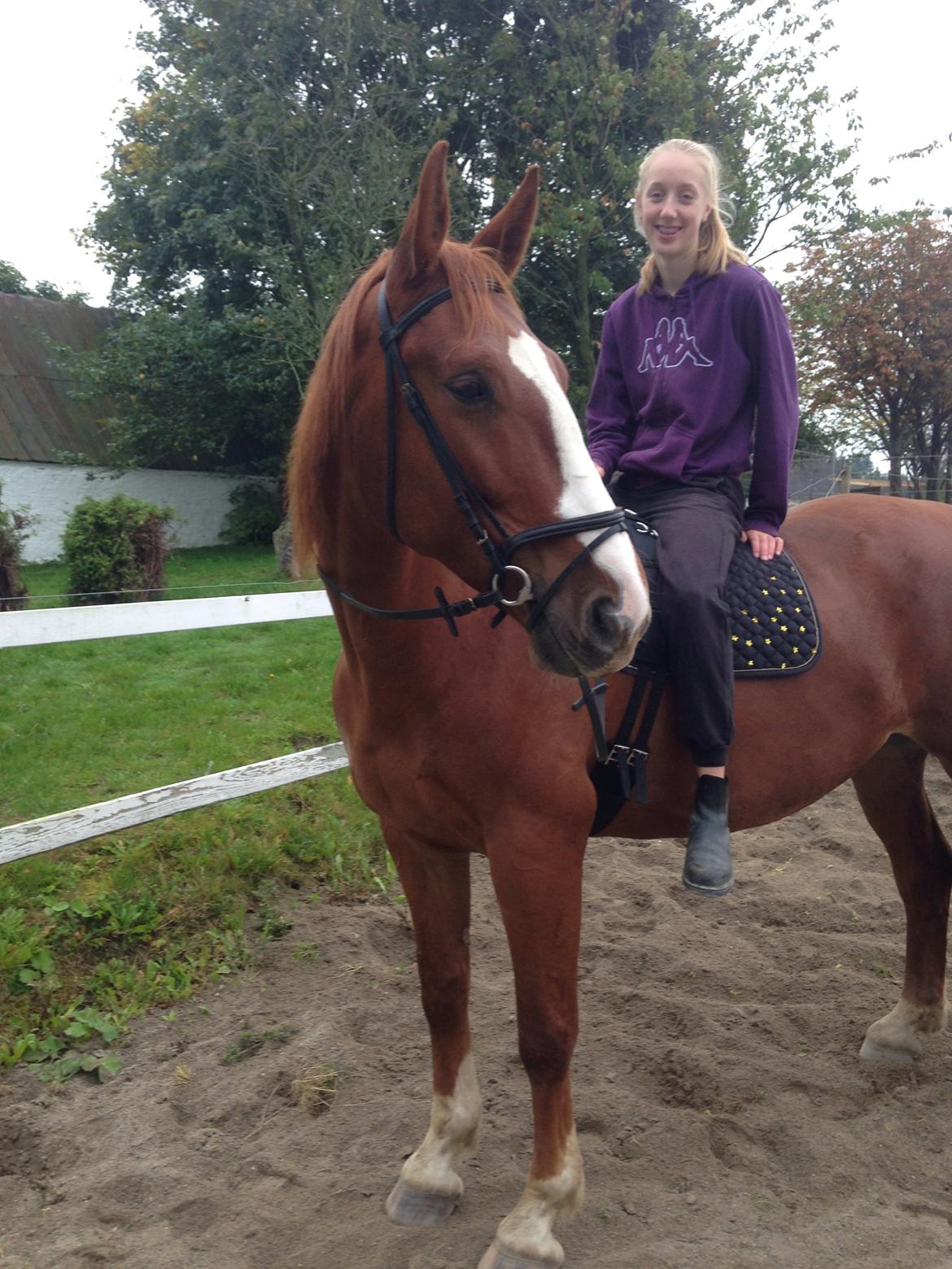 Frederiksborg Ikarios Krogvænget billede 8